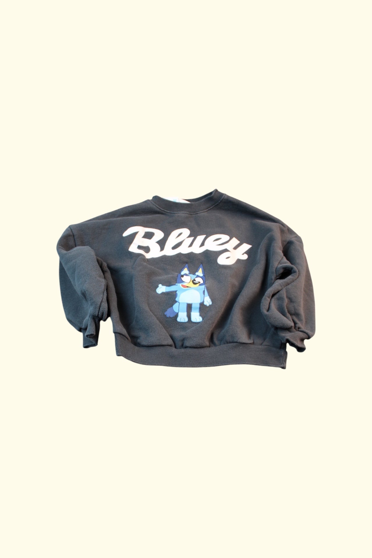Bluey Sweatshirt